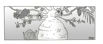 20rv139trax_baobab.jpg