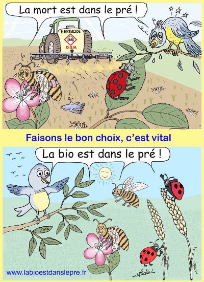 bickel-la-bio-est-dans-le-pre.jpg