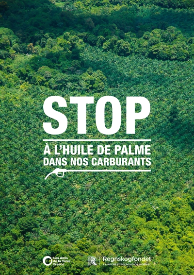 dossier_de_presse_palme_web.jpg